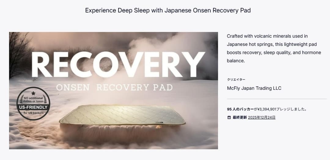 プロジェクトEの成功事例 3,394,901円達成